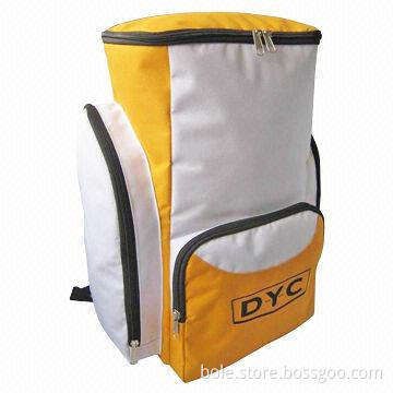 Cooler Bag with Aluminum Foil Lining, Made of 600D Polyester, Suitable for Picnic